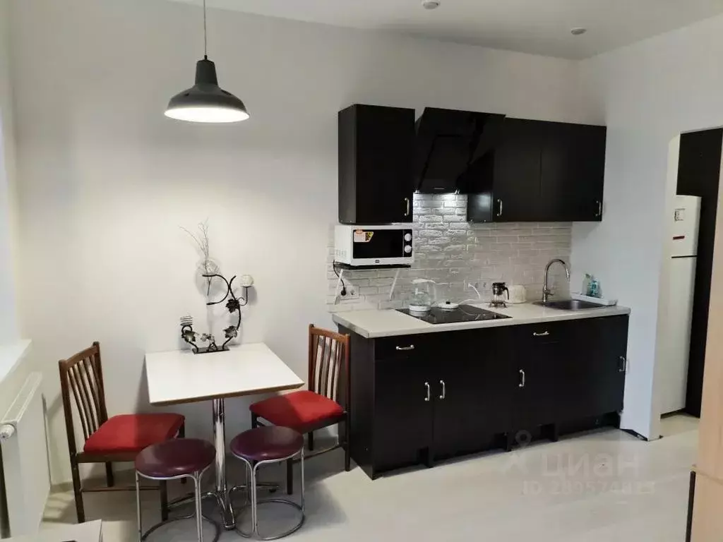 Студия Санкт-Петербург Парашютная ул., 34 (28.0 м) - Фото 0