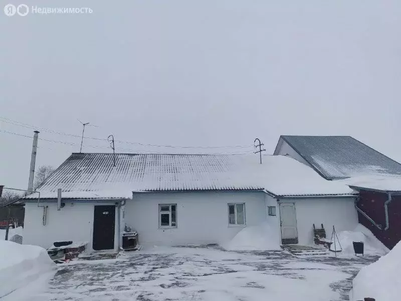 Помещение свободного назначения (265 м) - Фото 2