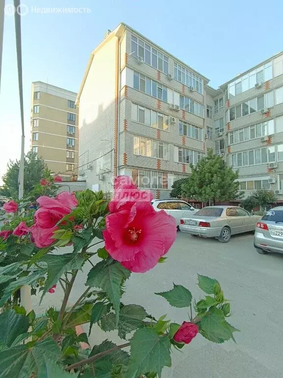 1-комнатная квартира: Славянск-на-Кубани, улица Лермонтова, 276 (23.7 ... - Фото 2