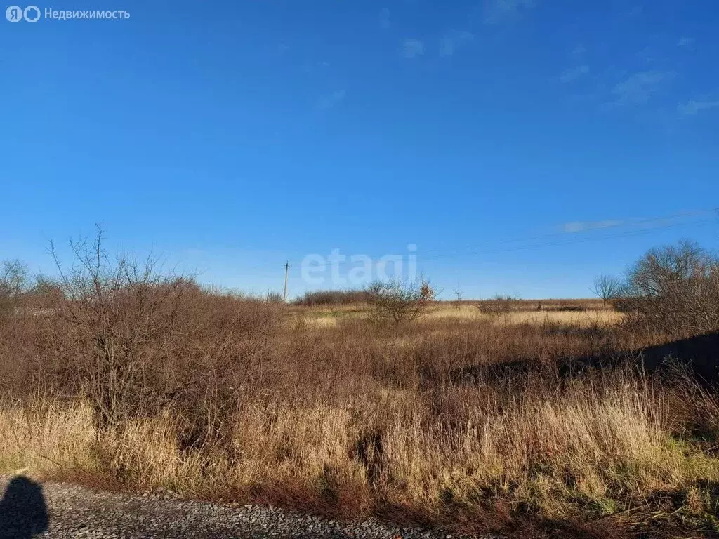 Участок в село Шагаровка, СТ Ёлочка (6 м) - Фото 2