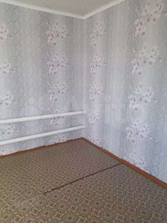 Дом 54 м на участке 20 сот. - Фото 1