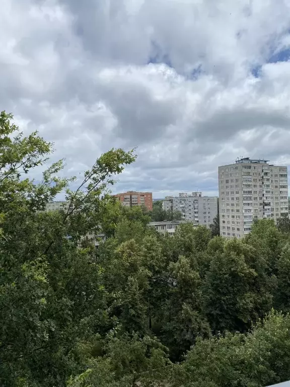 2-к кв. Московская область, Воскресенск ул. Зелинского, 8 (49.7 м) - Фото 1