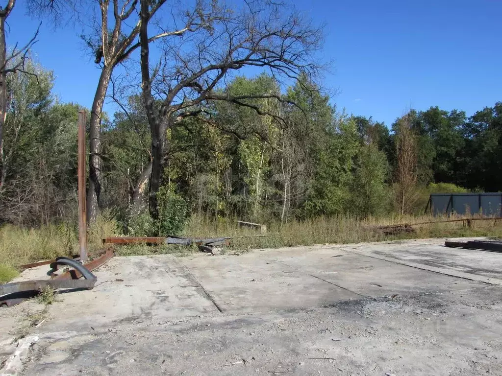 Участок в Волгоградская область, Среднеахтубинский район, Фрунзенское ... - Фото 2