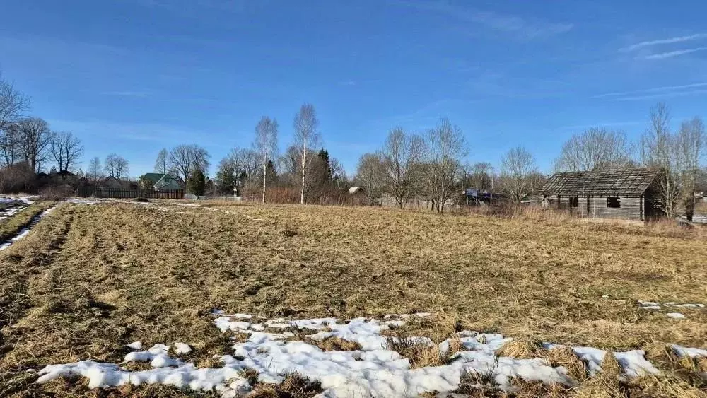 Участок в Ленинградская область, Гатчинский муниципальный округ, д. ... - Фото 2