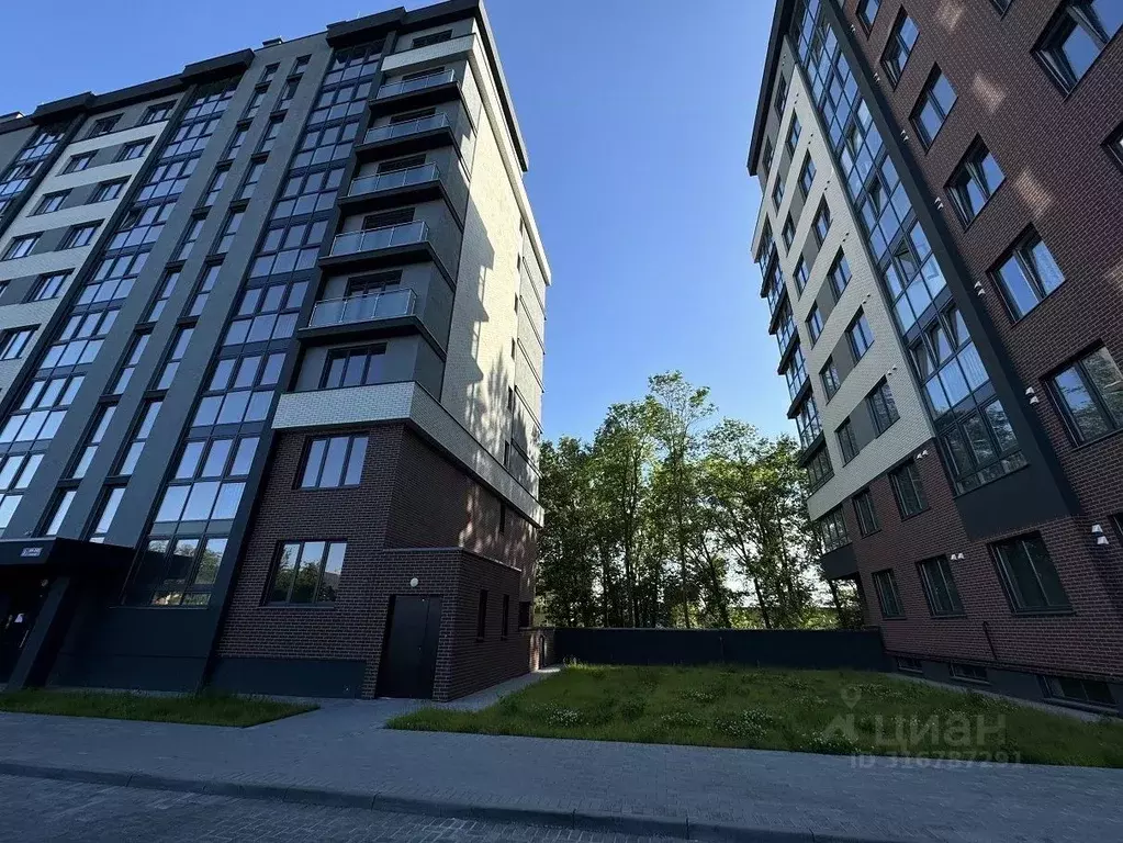 1-к кв. Калининградская область, Калининград Советский просп., 238А ... - Фото 2