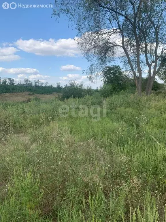 Участок в Большекрепинское сельское поселение, садоводческое ... - Фото 0