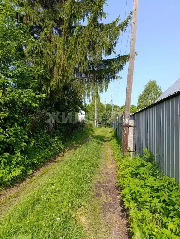Участок в Новосибирская область, Новолуговской сельсовет, Колос-Рем ... - Фото 1