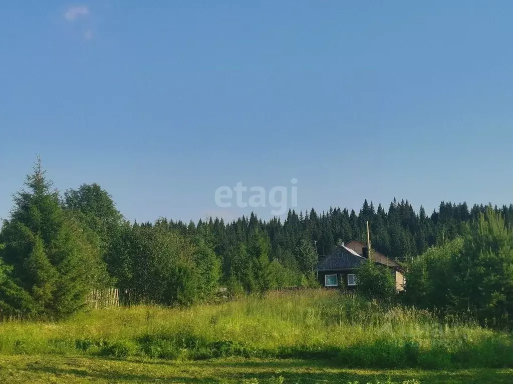 Участок в Свердловская область, Нижний Тагил городской округ, д. ... - Фото 0