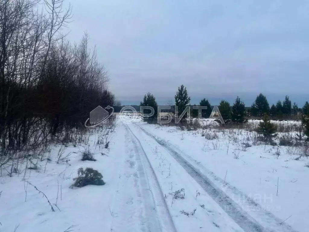 Участок в Тюменская область, Тюменский район, с. Горьковка Сибирская ... - Фото 0