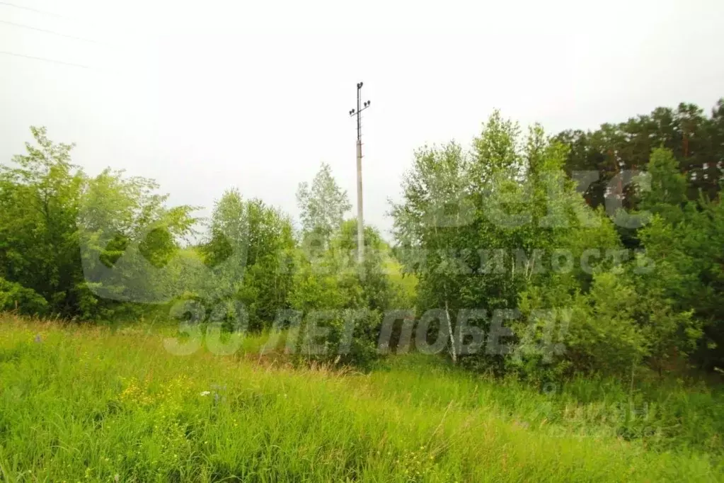 Участок в Тюменская область, Ялуторовский район, с. Памятное  (4751.62 ... - Фото 1