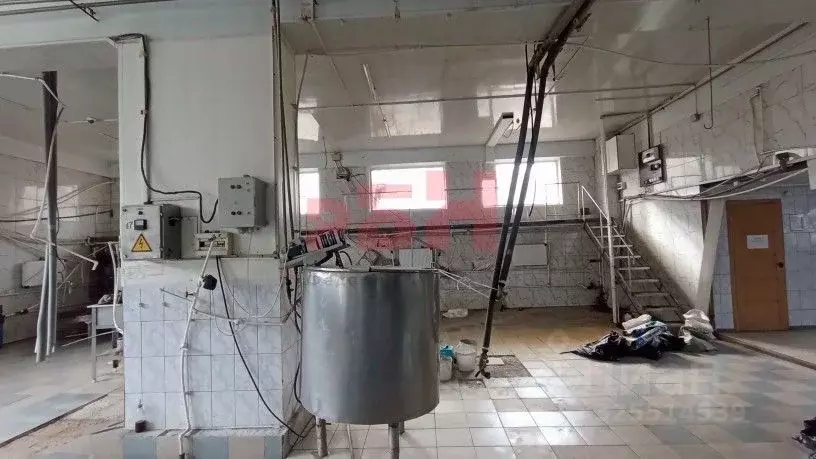 Производственное помещение в Самарская область, Кинель Советская ул., ... - Фото 2