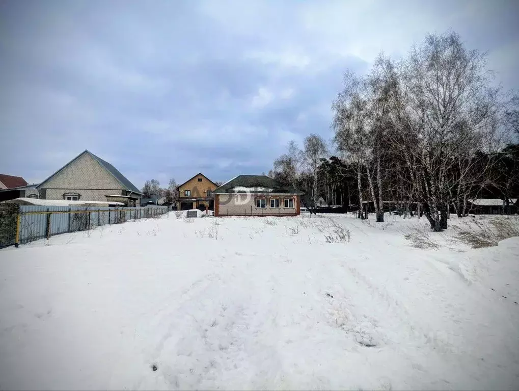 Участок в Алтайский край, Барнаул городской округ, с. Власиха ул. ... - Фото 2