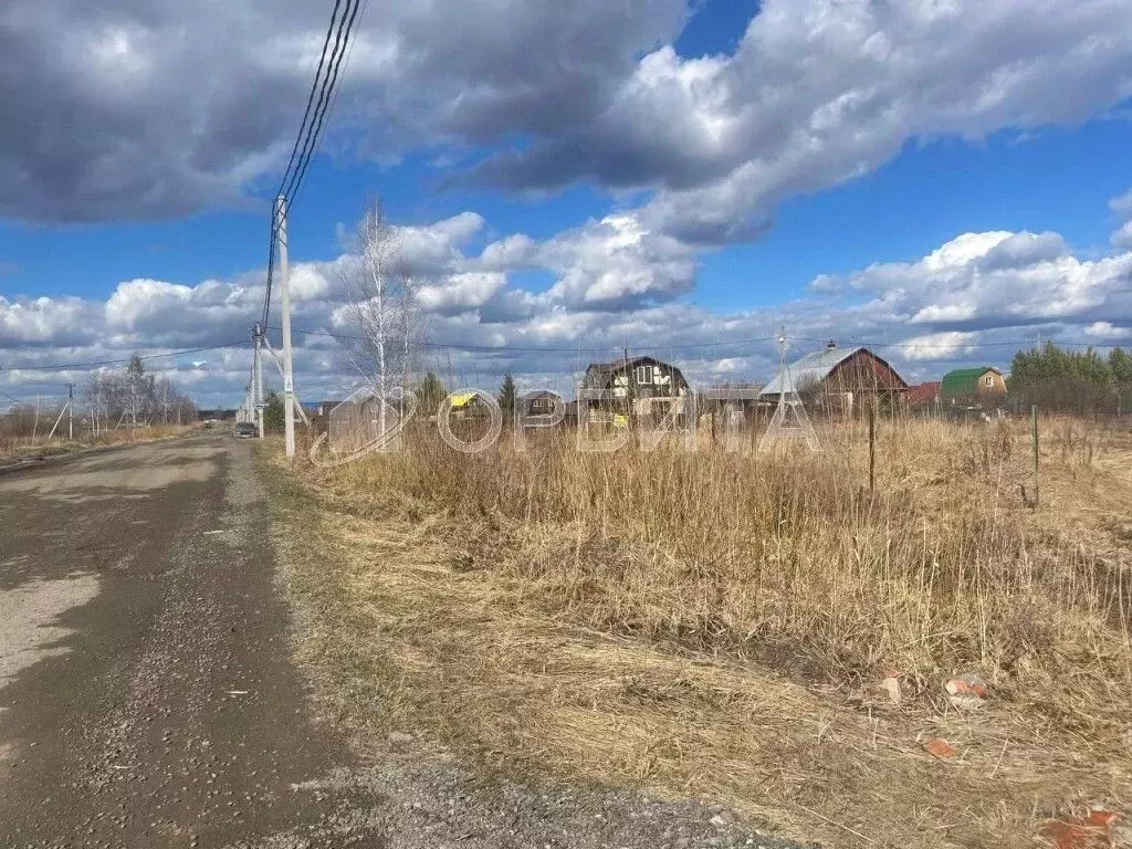 Участок в Тюменская область, Тюмень Царево садовое товарищество, ул. ... - Фото 1