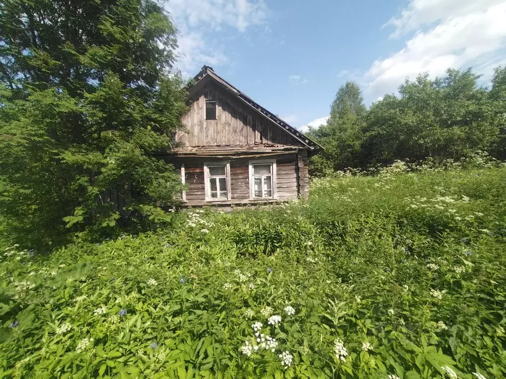 Участок в Новгородская область, Валдайский район, Яжелбицкое с/пос, д. ... - Фото 1
