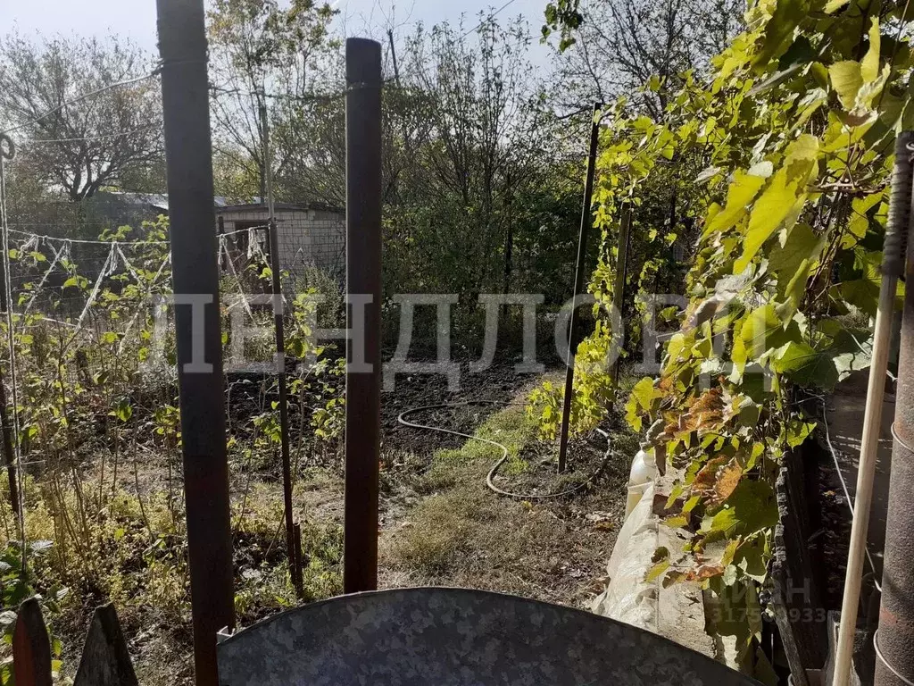 Участок в Ростовская область, Новочеркасск Виноградная Лоза СНТ,  (6.0 ... - Фото 1