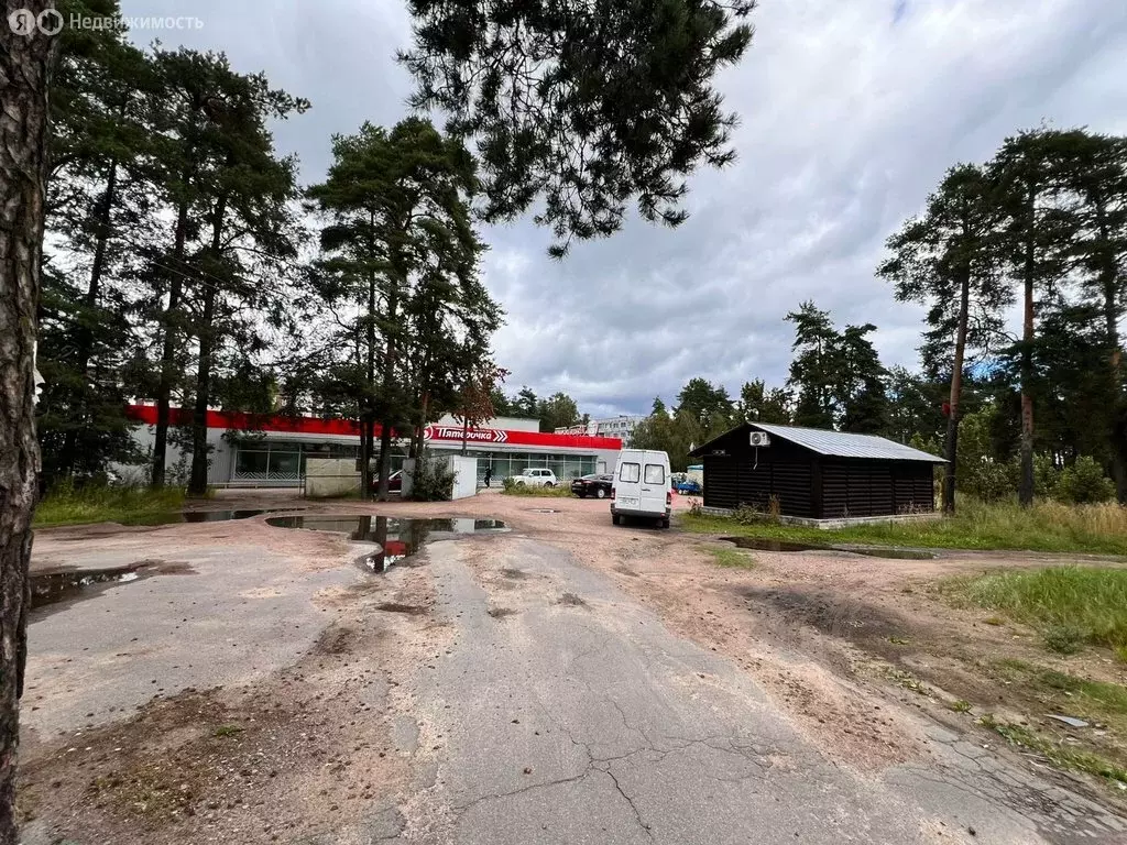 Торговая площадь (541.3 м) - Фото 1