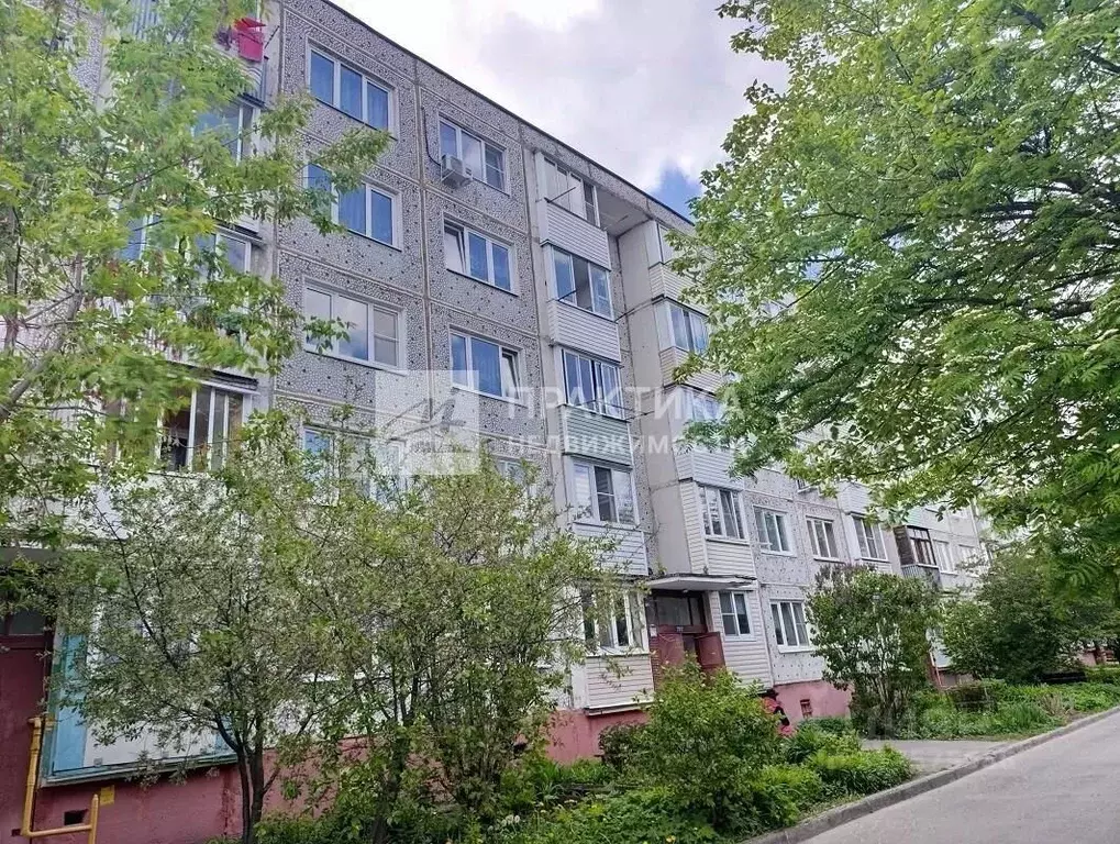 1-к кв. Московская область, Ногинск Богородский городской округ, ул. ... - Фото 0
