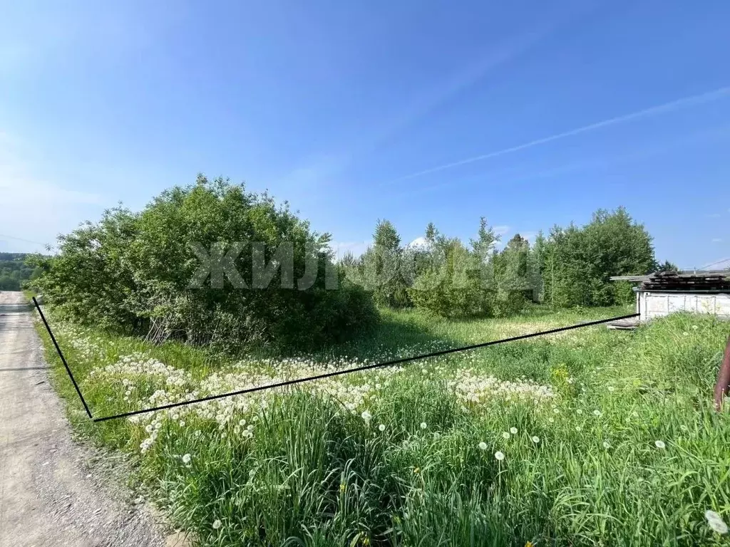 Участок в Новосибирская область, Новосибирский район, Барышевский ... - Фото 1