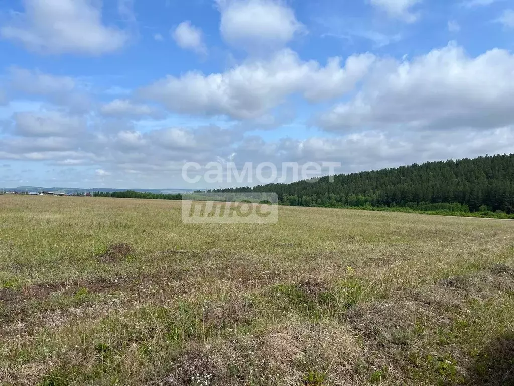 Участок в Иркутская область, Иркутский муниципальный округ, Русь ТСН ... - Фото 1