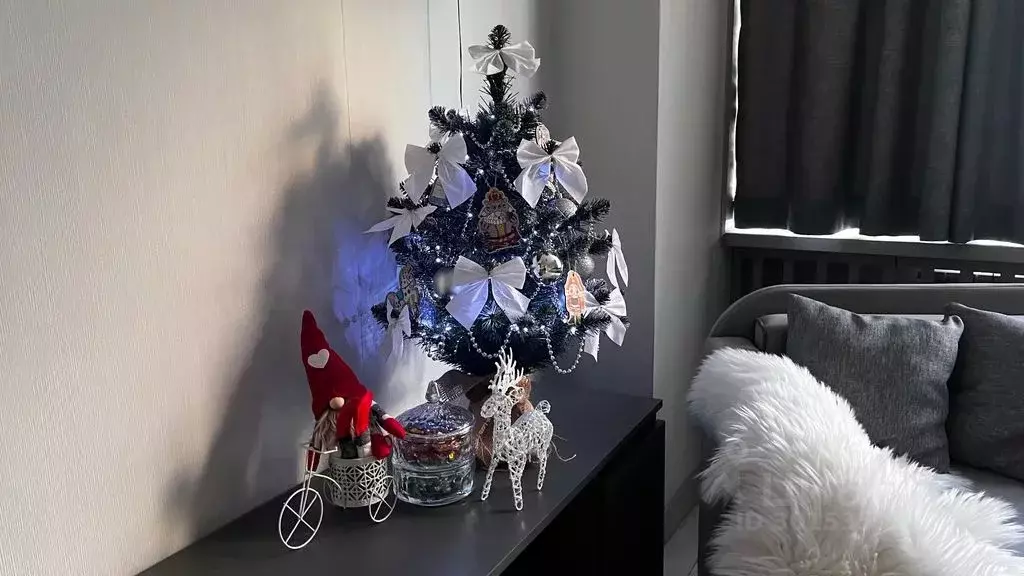 Студия Ленинградская область, Выборг Ленинградское ш., 11 (26.0 м) - Фото 0