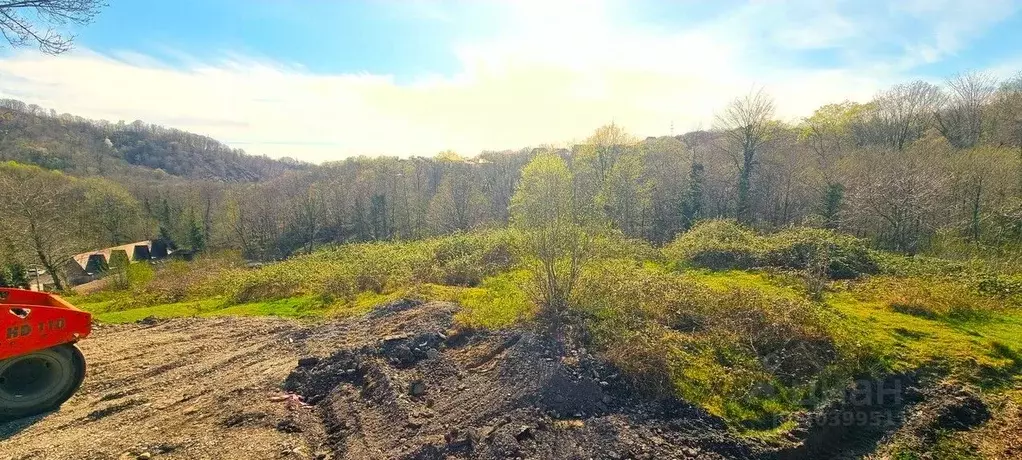 Участок в Краснодарский край, Сочи городской округ, с. Детляжка ул. ... - Фото 1