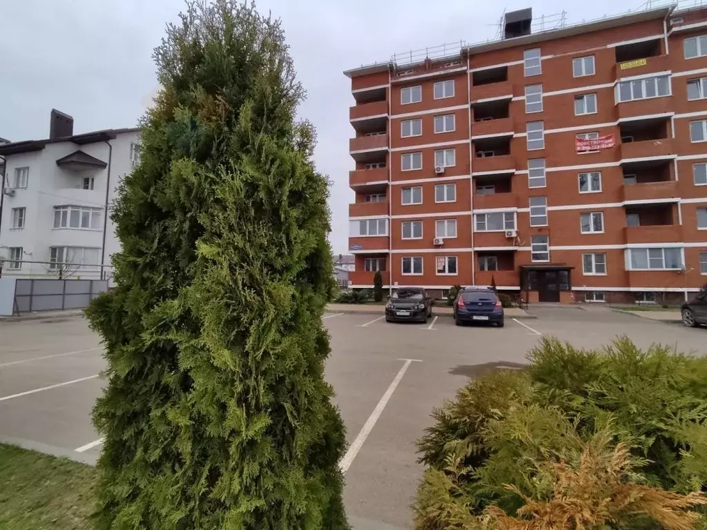 2-к кв. Краснодарский край, Краснодар ул. Генерала Петрова, 2/Алит1 ... - Фото 0