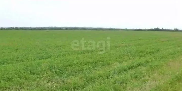 Участок в Псковская область, Псковский район, Ершовская волость, ... - Фото 1