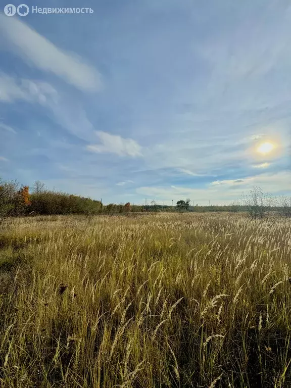 Участок в село Плеханово, Сиреневая улица, 16 (60 м) - Фото 0