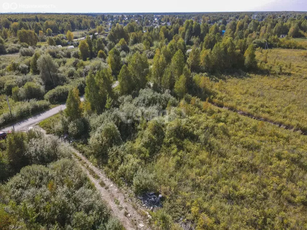 Участок в Нижнетавдинский район, СНТ Сочинские, 19-я линия (11 м) - Фото 1