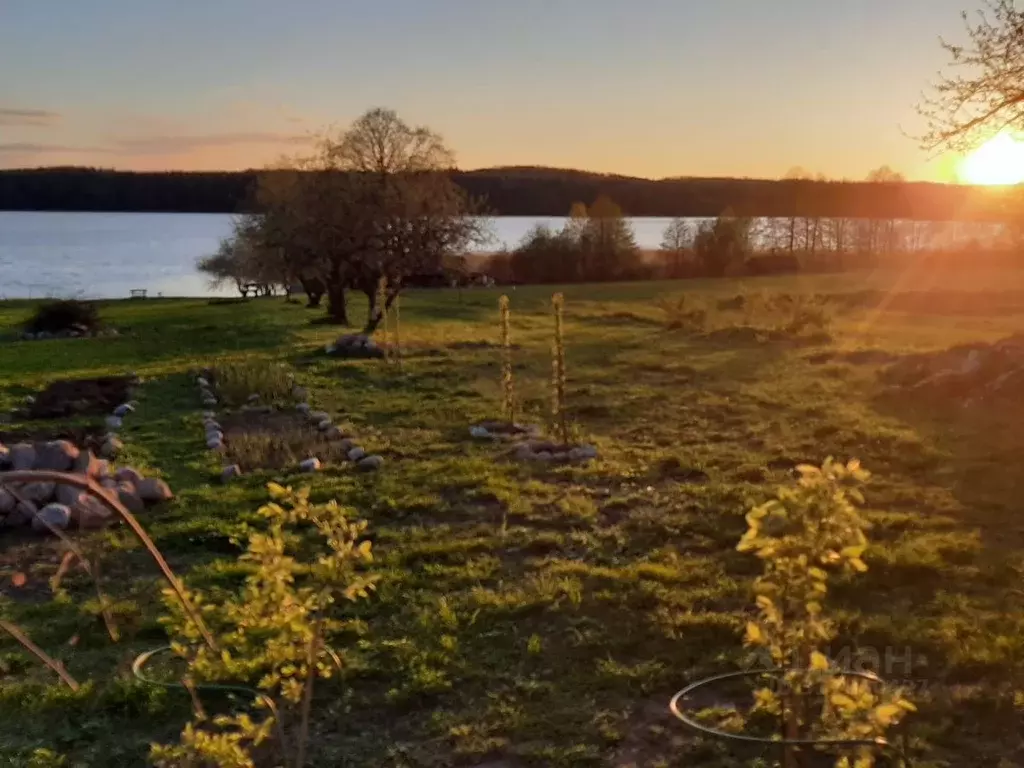 Участок в Псковская область, Новоржевский муниципальный округ, д. ... - Фото 1