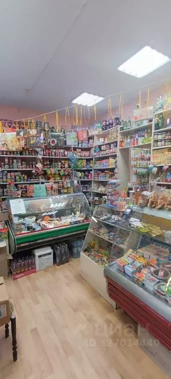 Помещение свободного назначения в Хабаровский край, ... - Фото 2