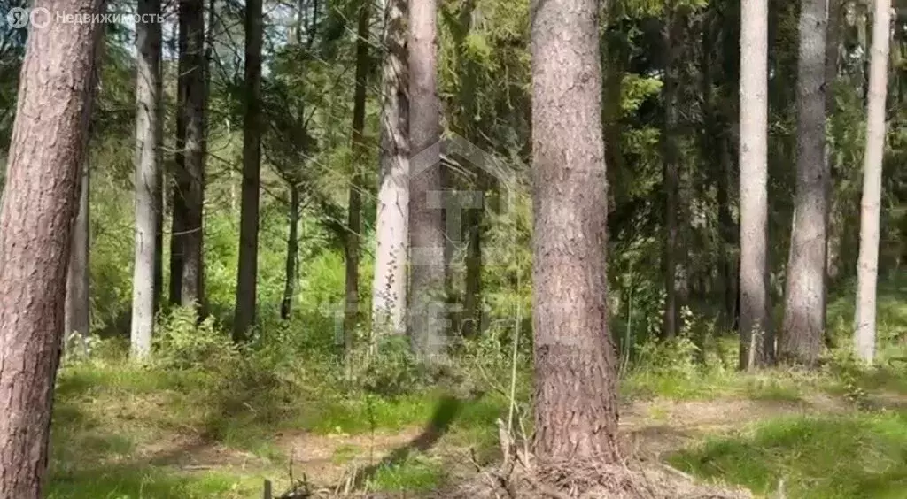 Участок в Выборгский район, Первомайское сельское поселение, КП ... - Фото 2