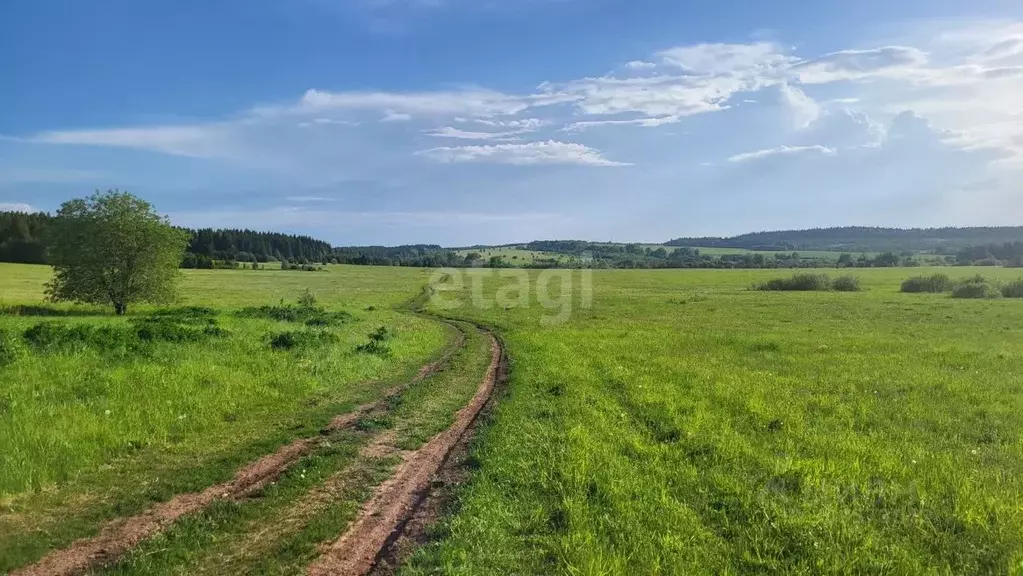 Участок в Пермский край, пос. Красный Восход ул. Заповедная, 1 (20.0 ... - Фото 0