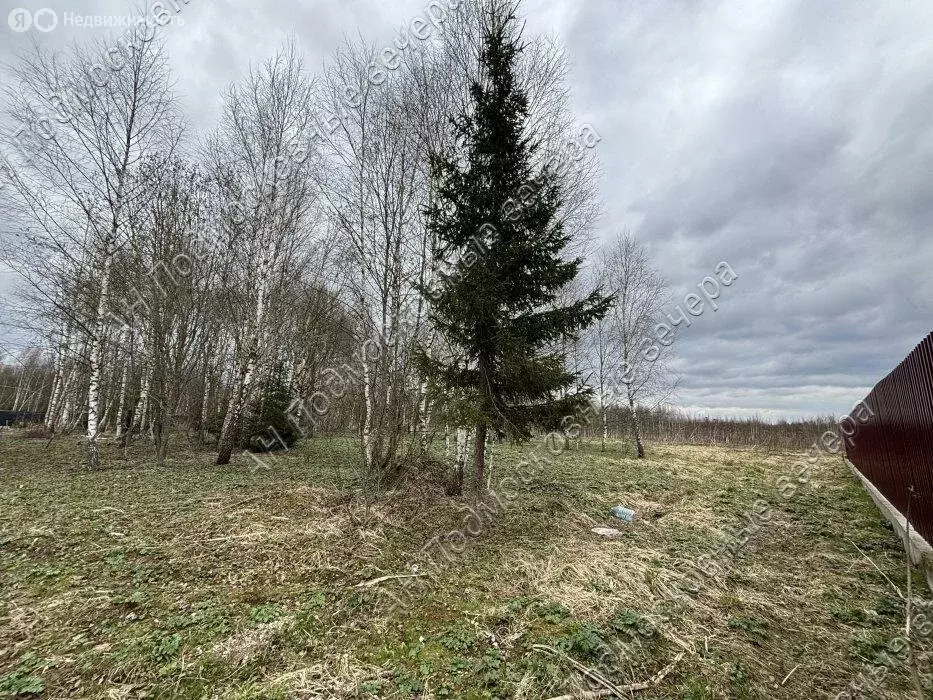 Участок в Московская область, городской округ Солнечногорск, деревня ... - Фото 1
