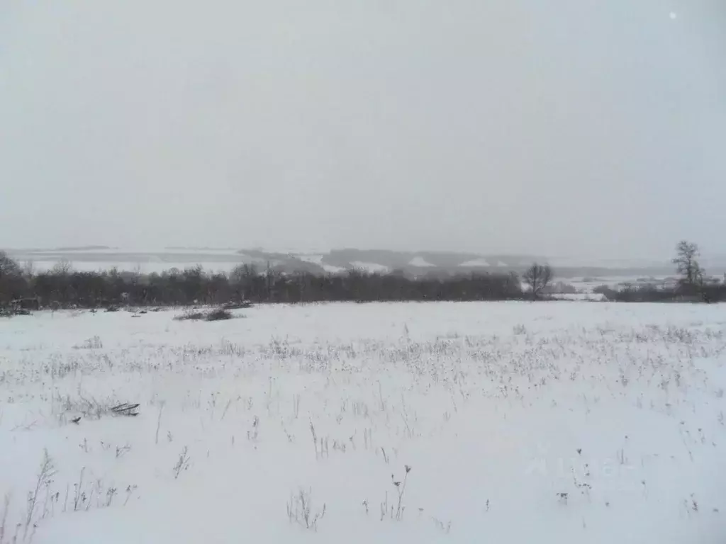 Участок в Белгородская область, Белгородский район, Беловское с/пос, ... - Фото 0