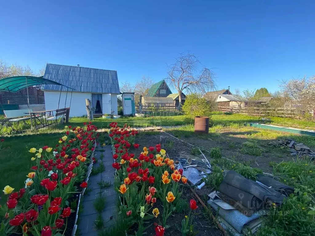 Дом в Удмуртия, Завьяловский район, Садовые участки  (60 м) - Фото 1