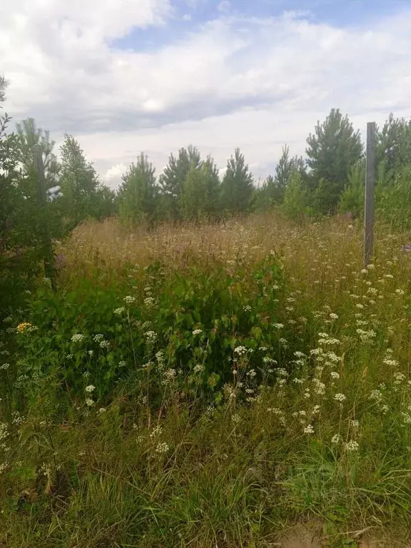 Участок в Пермский край, Пермский муниципальный округ, д. Ольховка  ... - Фото 1