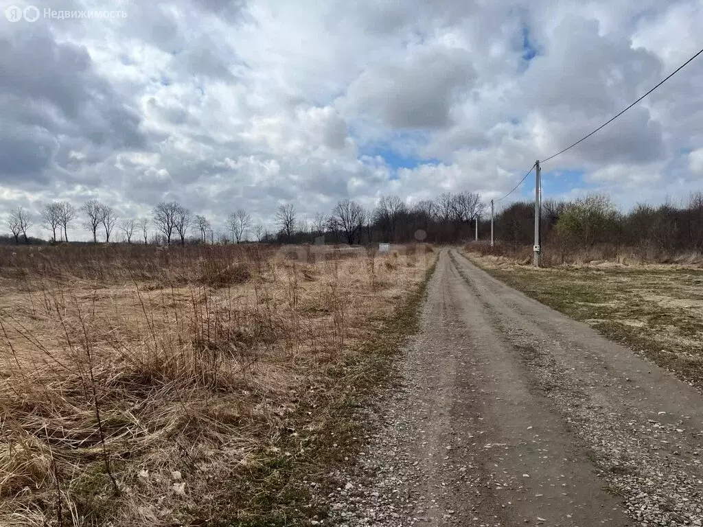 Участок в Калининградская область, Зеленоградский муниципальный округ, ... - Фото 1