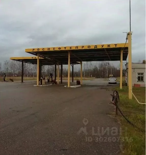 Производственное помещение в Новгородская область, Пестово ул. Плесо, ... - Фото 0