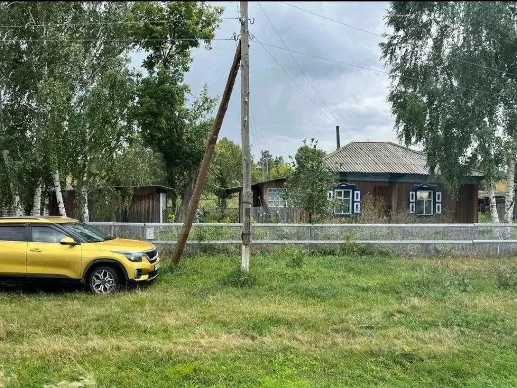 Дом в Алтайский край, Петропавловский район, с. Новообинка Советская ... - Фото 0