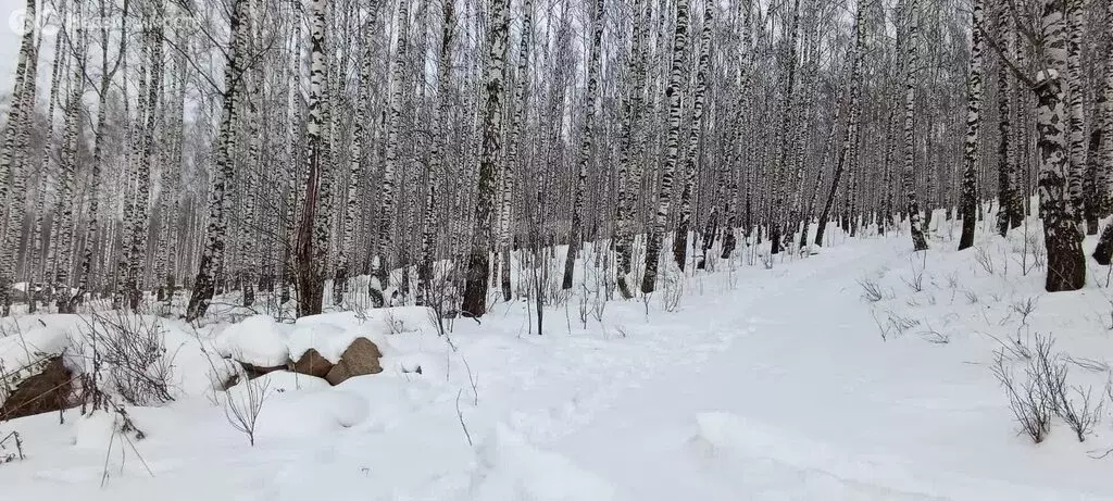 Участок в Златоуст, улица имени Д.И. Менделеева (12.27 м) - Фото 1