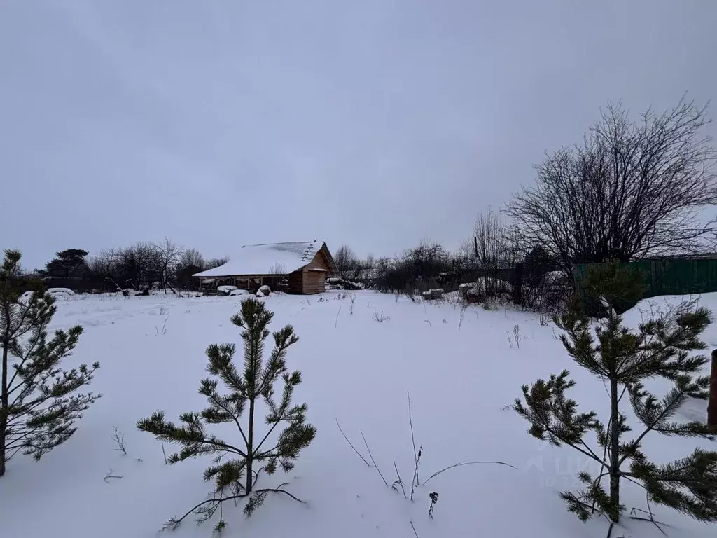 Участок в Пермский край, Пермский муниципальный округ, Исток СНТ 12 ... - Фото 1