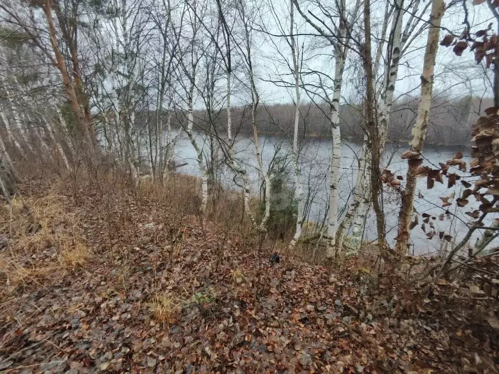 Участок в Архангельская область, Котлас ул. Бор (10.0 сот.) - Фото 1