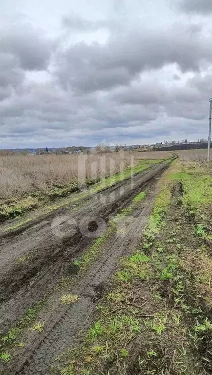 Участок в Воронежская область, Новоусманский район, с. Орлово  (9.0 ... - Фото 1