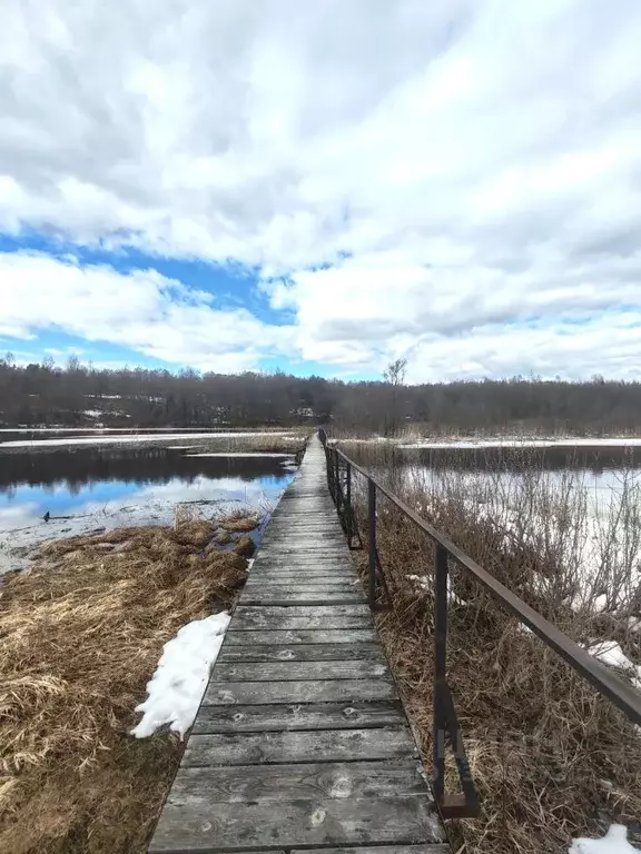 Участок в Новгородская область, Валдайский муниципальный округ, ... - Фото 2