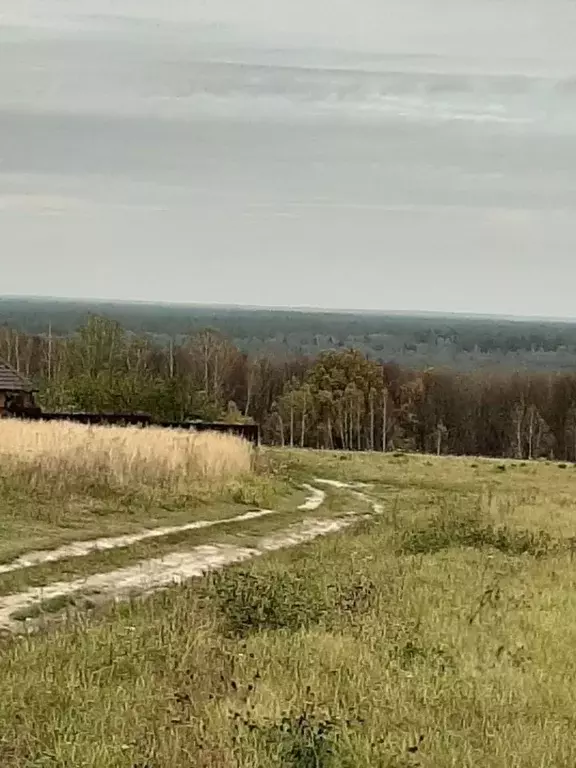 Участок в Брянская область, Жуковский муниципальный округ, с. Вщиж ул. ... - Фото 1