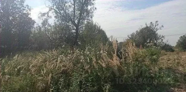 Участок в Московская область, Дмитровский муниципальный округ, с. ... - Фото 1