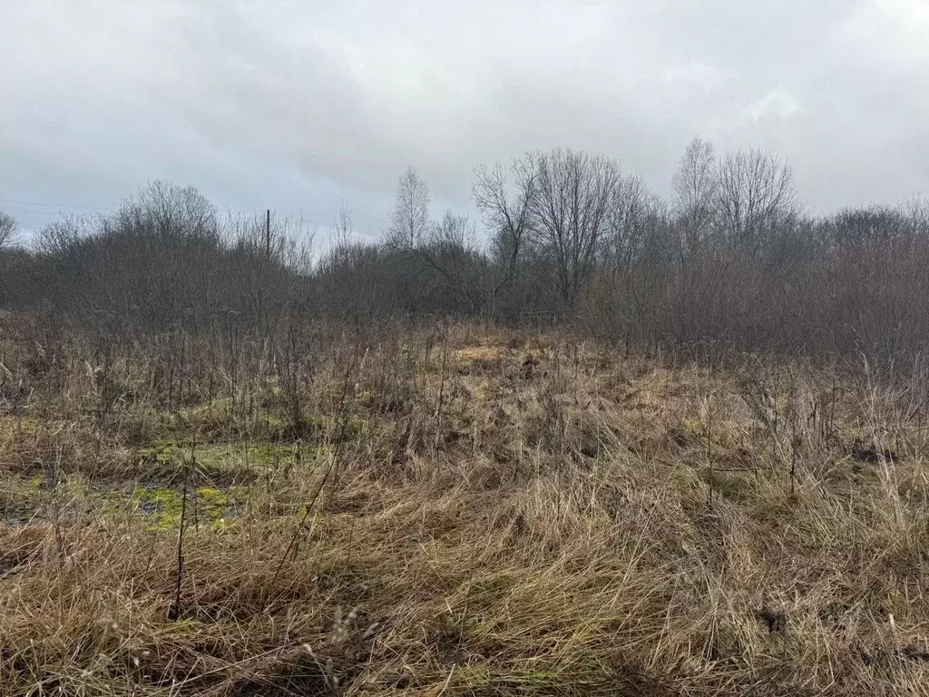 Участок в Московская область, Можайский городской округ, д. Милятино  ... - Фото 1