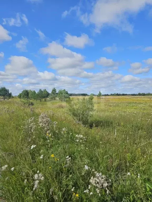 Участок в Тюменская область, Тюменский район, с. Салаирка  (12.0 сот.) - Фото 1