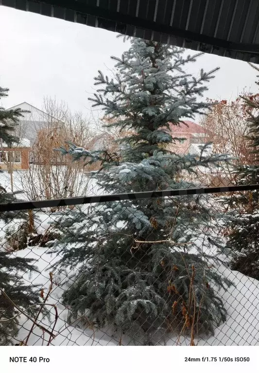 Участок 5 сот. (СНТ, ДНП) - Фото 1